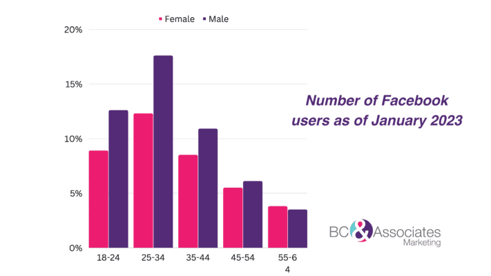 Facebook Demographics