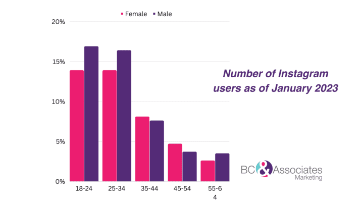 Instagram demographics